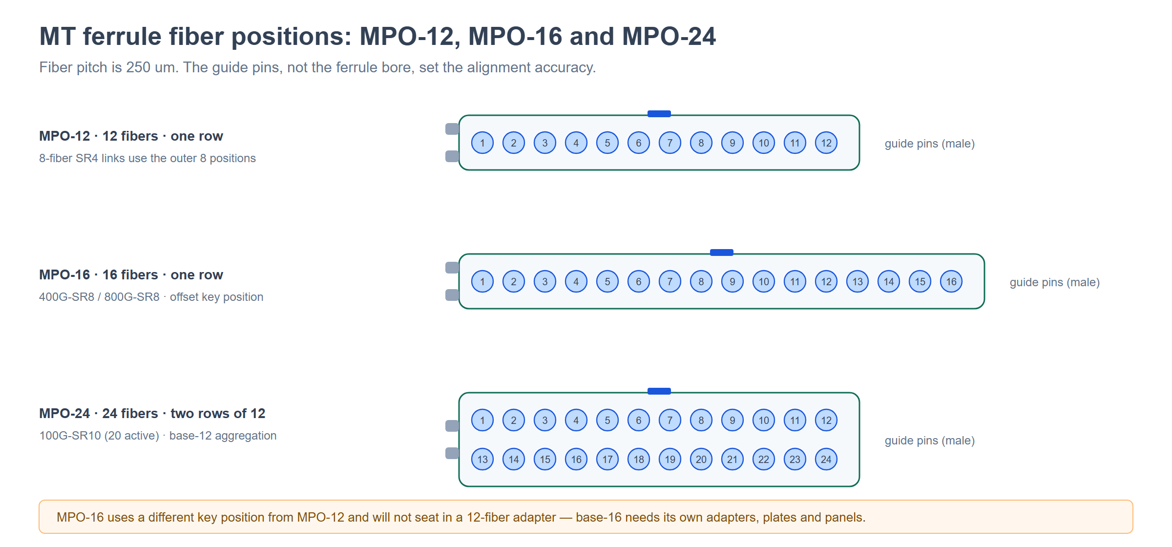 MT ferrule fiber positions for MPO-12, MPO-16 and MPO-24 connectors with 250 um fiber pitch